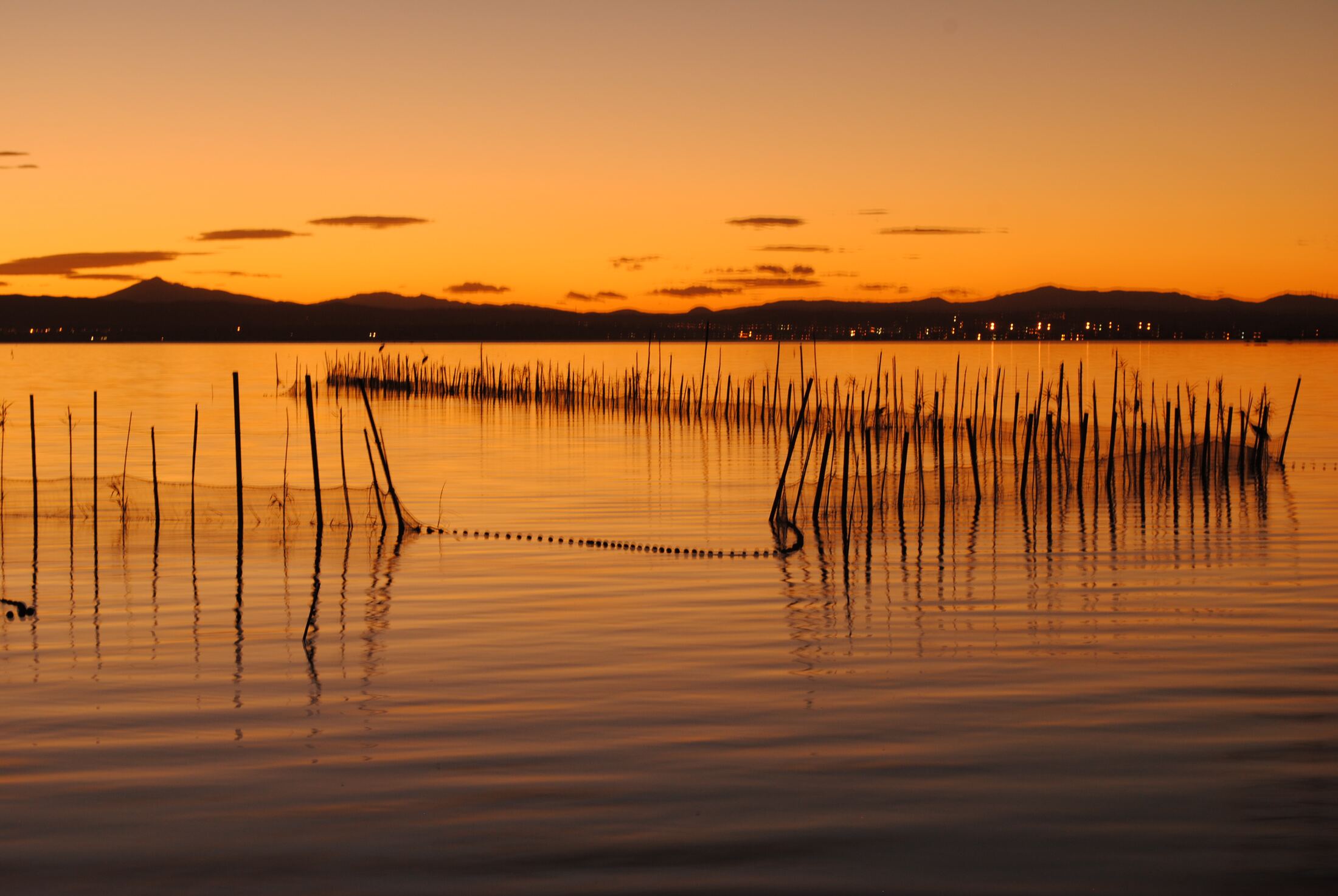 Parque Natural de la Albufera en Valencia
